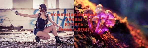 твердый Михайловск