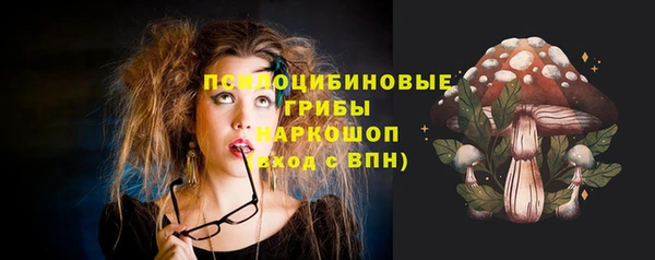 ешки Алагир
