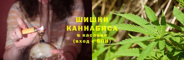 твердый Михайловск