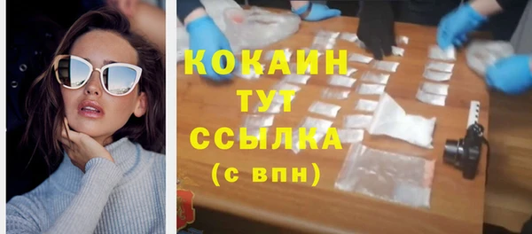 твердый Михайловск