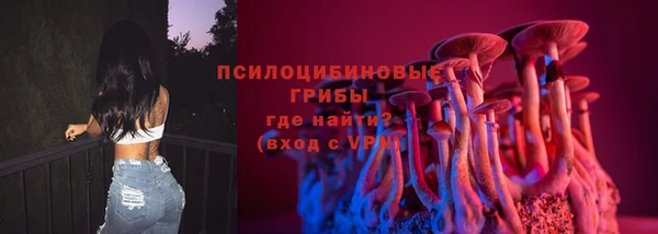apvp Медногорск