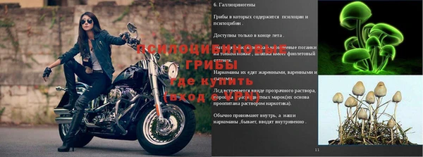 винт Михайловка