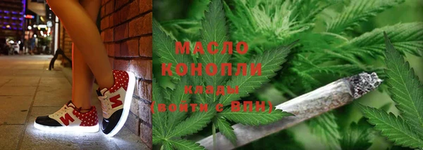 сатива Бердск