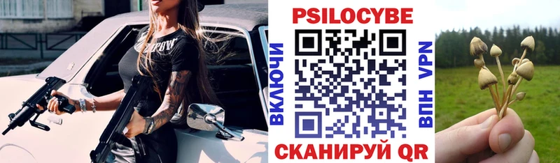 Псилоцибиновые грибы прущие грибы KRAKEN сайт Зверево