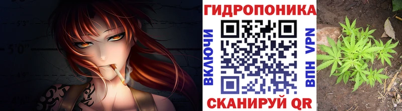 Марихуана план  где купить   Зверево 
